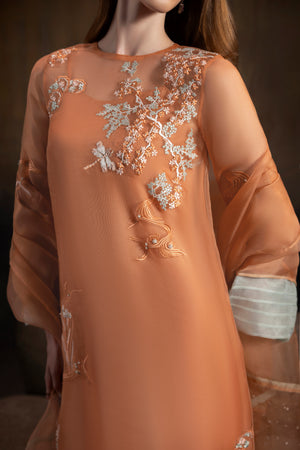Apricot Noir shirts and dupatta