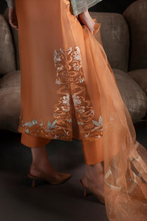 Apricot Noir shirts and dupatta