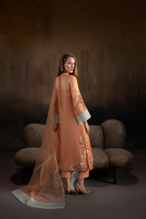 Apricot Noir shirts and dupatta