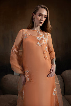 Apricot Noir shirts and dupatta