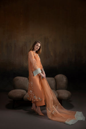 Apricot Noir shirts and dupatta